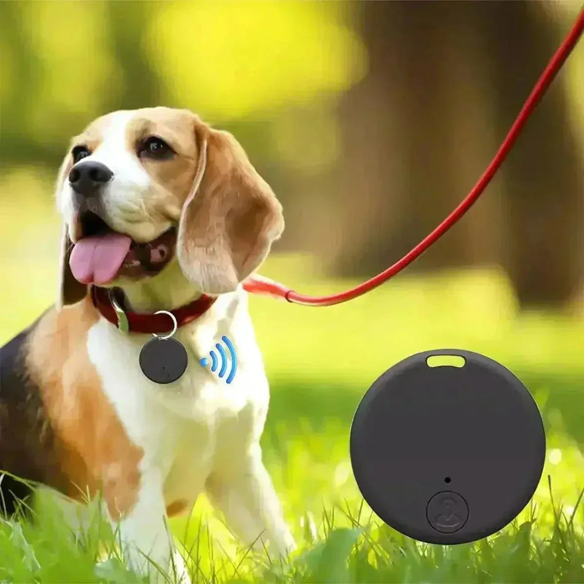Bluetooth GPS device attached to dog's collar for tracking.